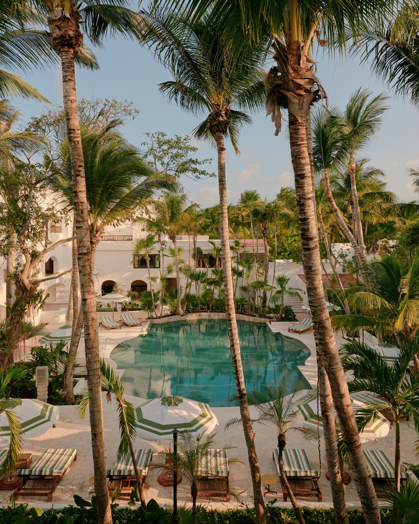 A pool framed by tall palms at a whitewashed Riviera Maya resort